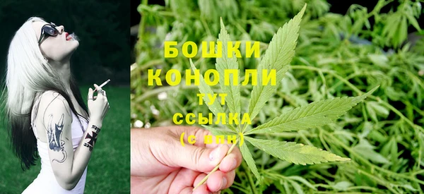 дмт Богородск
