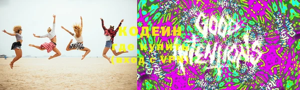 дмт Богородск
